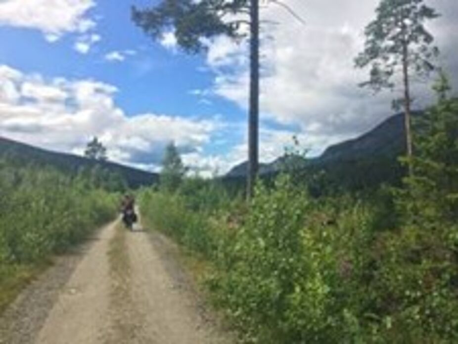 Der Weg, der eher einem Bach Der Weg, der eher einem Bach