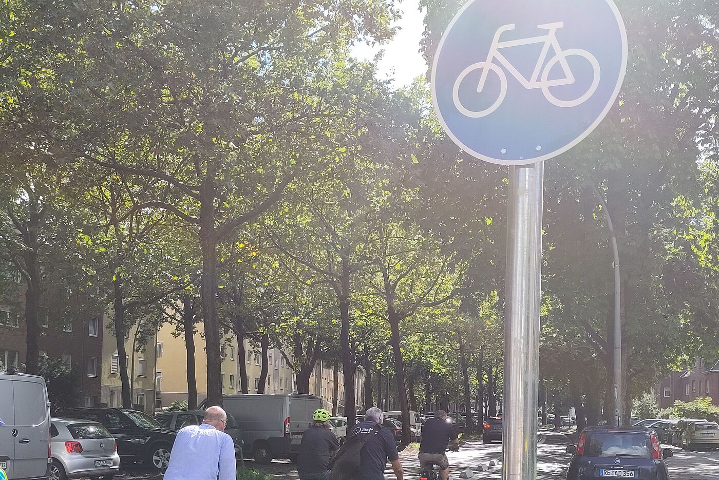 Protected-Bike-Lane Protected-Bike-Lane