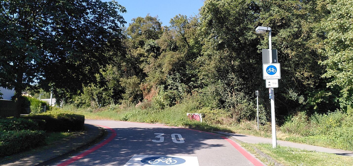 Das Bild zeigt eine Fahrradstraße. Am Wegesrand sind Büsche und Bäume zu sehen. Auf der Straße ist eine große "30" aufgemalt. Auf einem Schild am Straßenrand steht "Fahrradstraße".